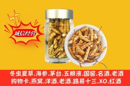 牡丹江林口县回收散虫草
