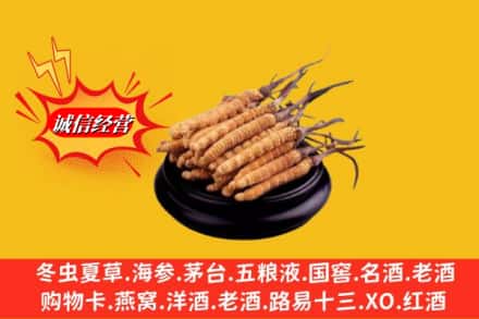 牡丹江林口县名酒回收冬虫夏草.jpg